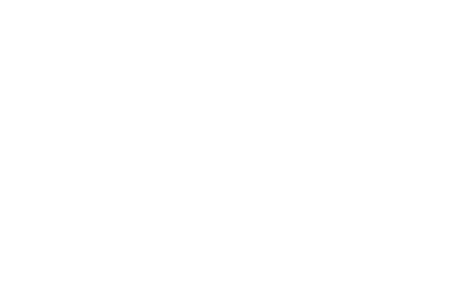 Objective